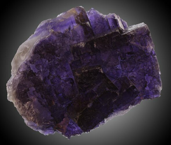 Deep Purple Fluorite Crystals - Múzquiz, Mexico #30392